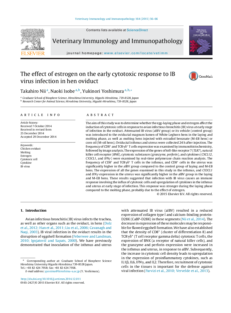 The effect of estrogen on the early cytotoxic response to IB virus infection in hen oviduct