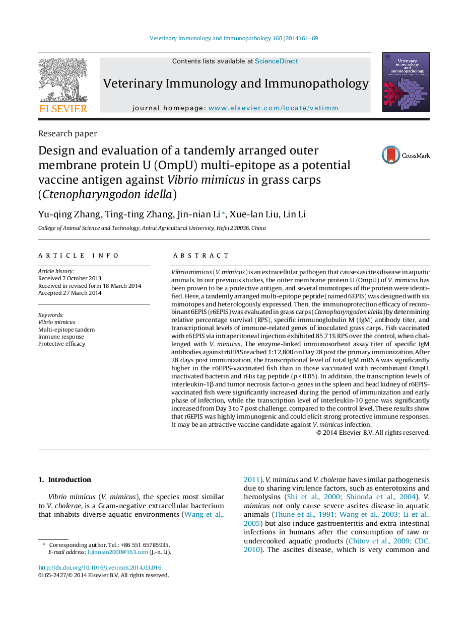 Design and evaluation of a tandemly arranged outer membrane protein U (OmpU) multi-epitope as a potential vaccine antigen against Vibrio mimicus in grass carps (Ctenopharyngodon idella)