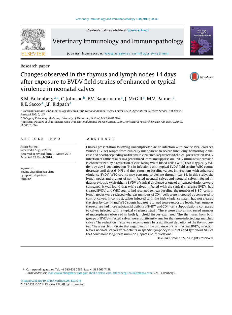 Changes observed in the thymus and lymph nodes 14 days after exposure to BVDV field strains of enhanced or typical virulence in neonatal calves