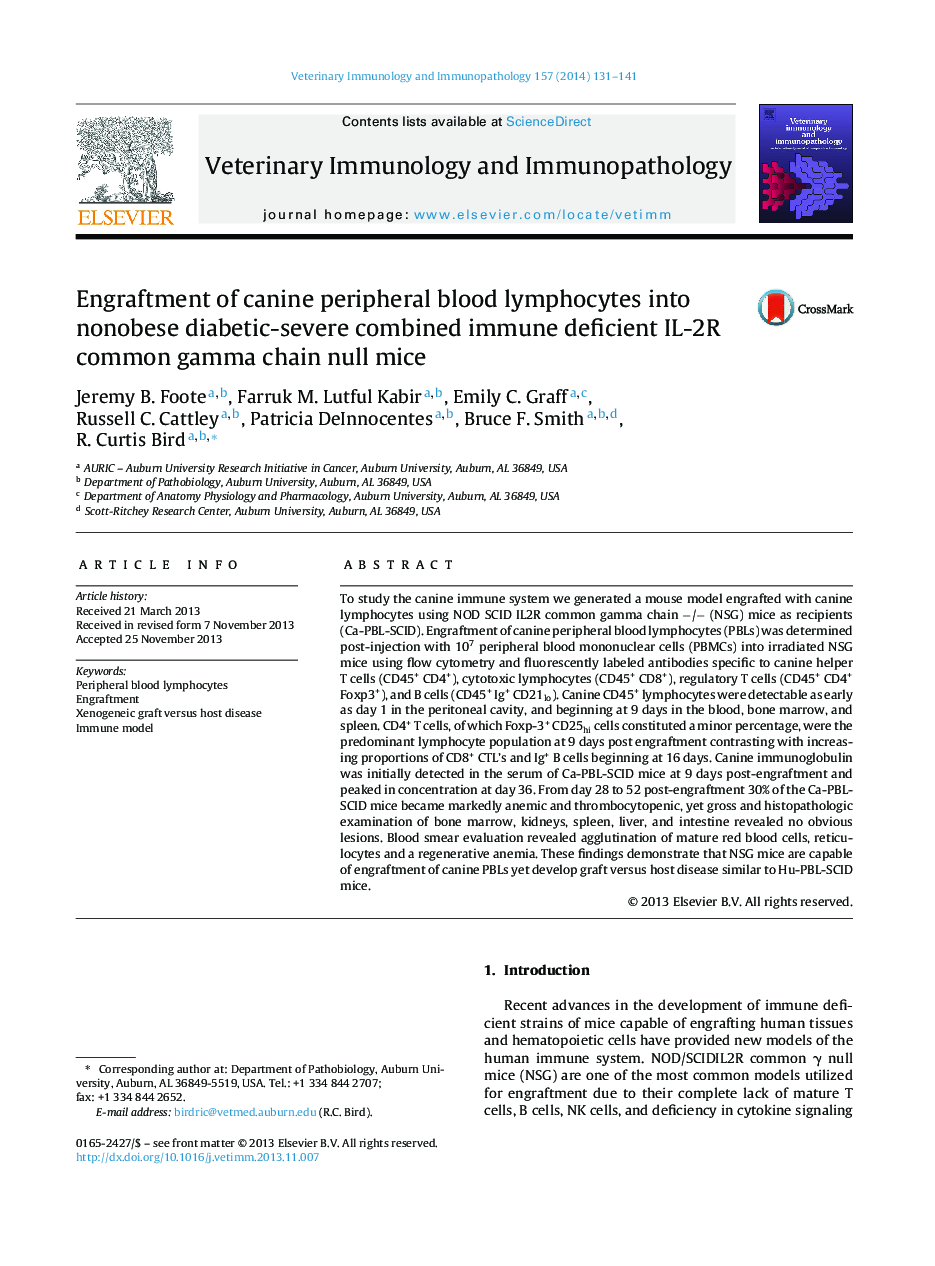 Engraftment of canine peripheral blood lymphocytes into nonobese diabetic-severe combined immune deficient IL-2R common gamma chain null mice
