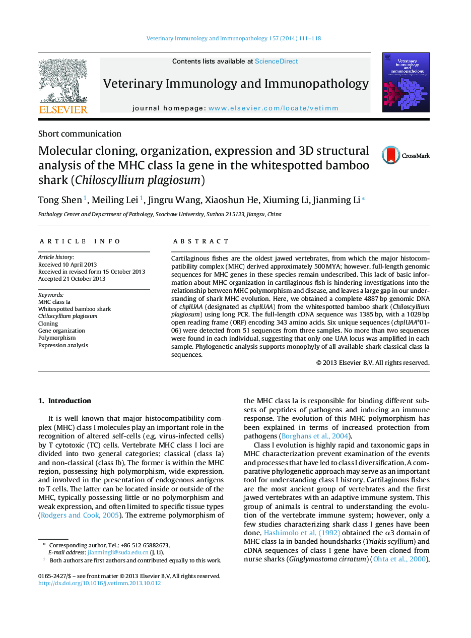 Molecular cloning, organization, expression and 3D structural analysis of the MHC class Ia gene in the whitespotted bamboo shark (Chiloscyllium plagiosum)