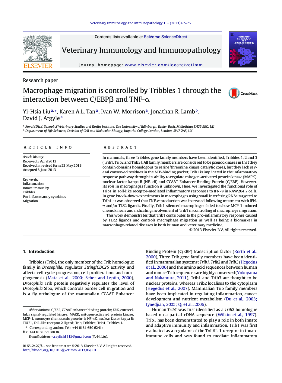 Macrophage migration is controlled by Tribbles 1 through the interaction between C/EBPÎ² and TNF-Î±