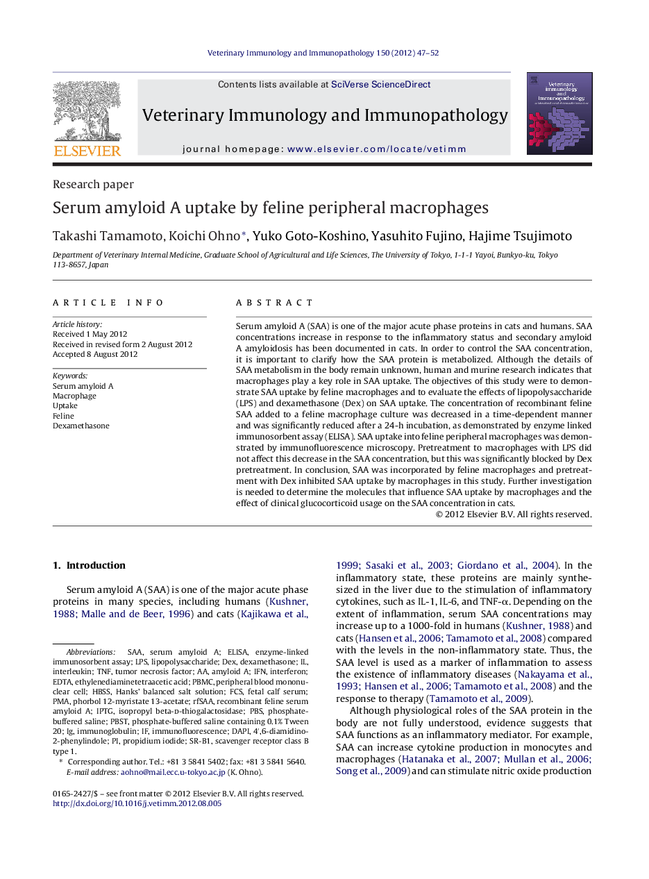 Serum amyloid A uptake by feline peripheral macrophages