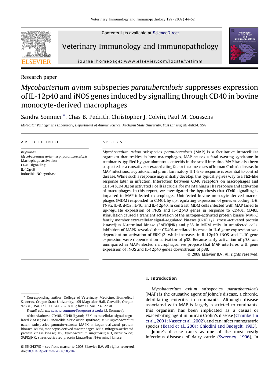 Mycobacterium avium subspecies paratuberculosis suppresses expression of IL-12p40 and iNOS genes induced by signalling through CD40 in bovine monocyte-derived macrophages