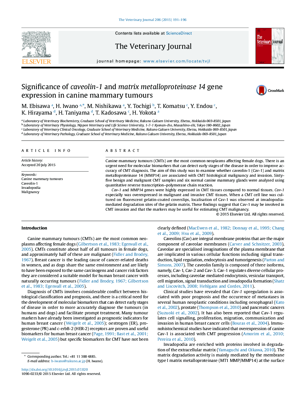 Significance of caveolin-1 and matrix metalloproteinase 14 gene expression in canine mammary tumours