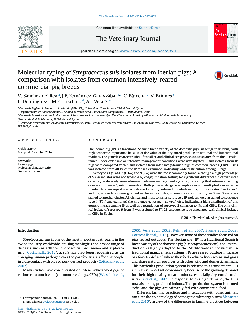 Molecular typing of Streptococcus suis isolates from Iberian pigs: A comparison with isolates from common intensively-reared commercial pig breeds