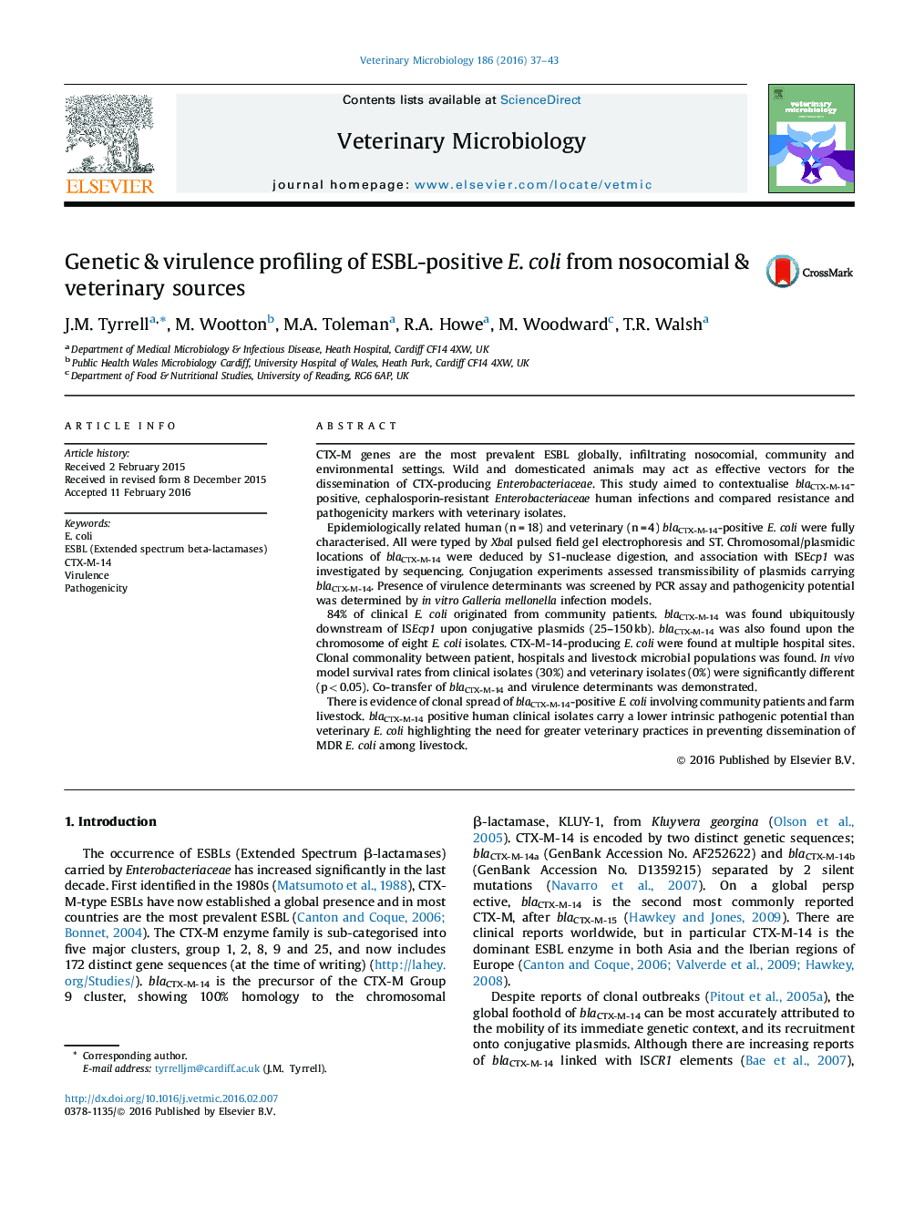 Genetic & virulence profiling of ESBL-positive E. coli from nosocomial & veterinary sources