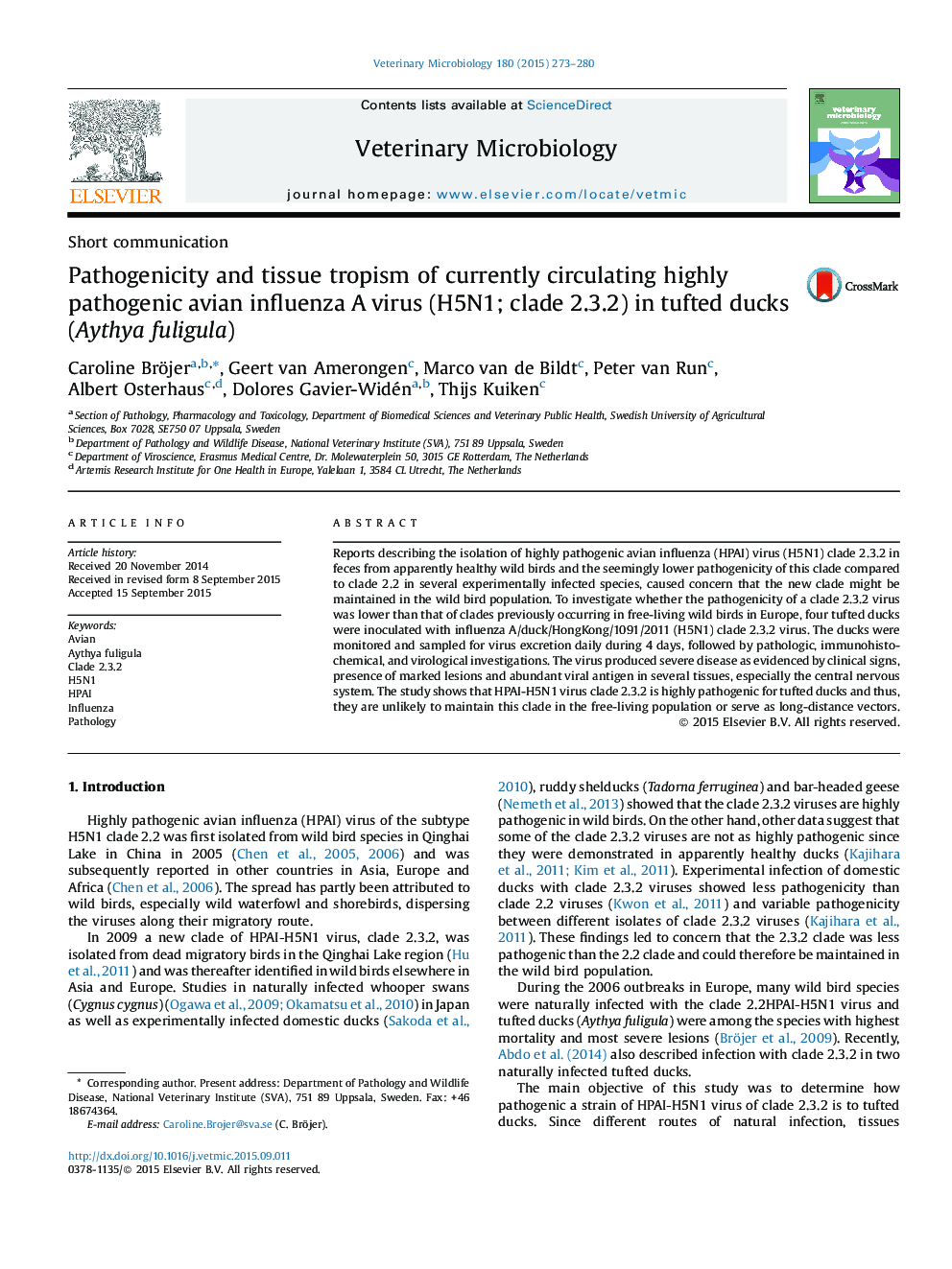 Pathogenicity and tissue tropism of currently circulating highly pathogenic avian influenza A virus (H5N1; clade 2.3.2) in tufted ducks (Aythya fuligula)