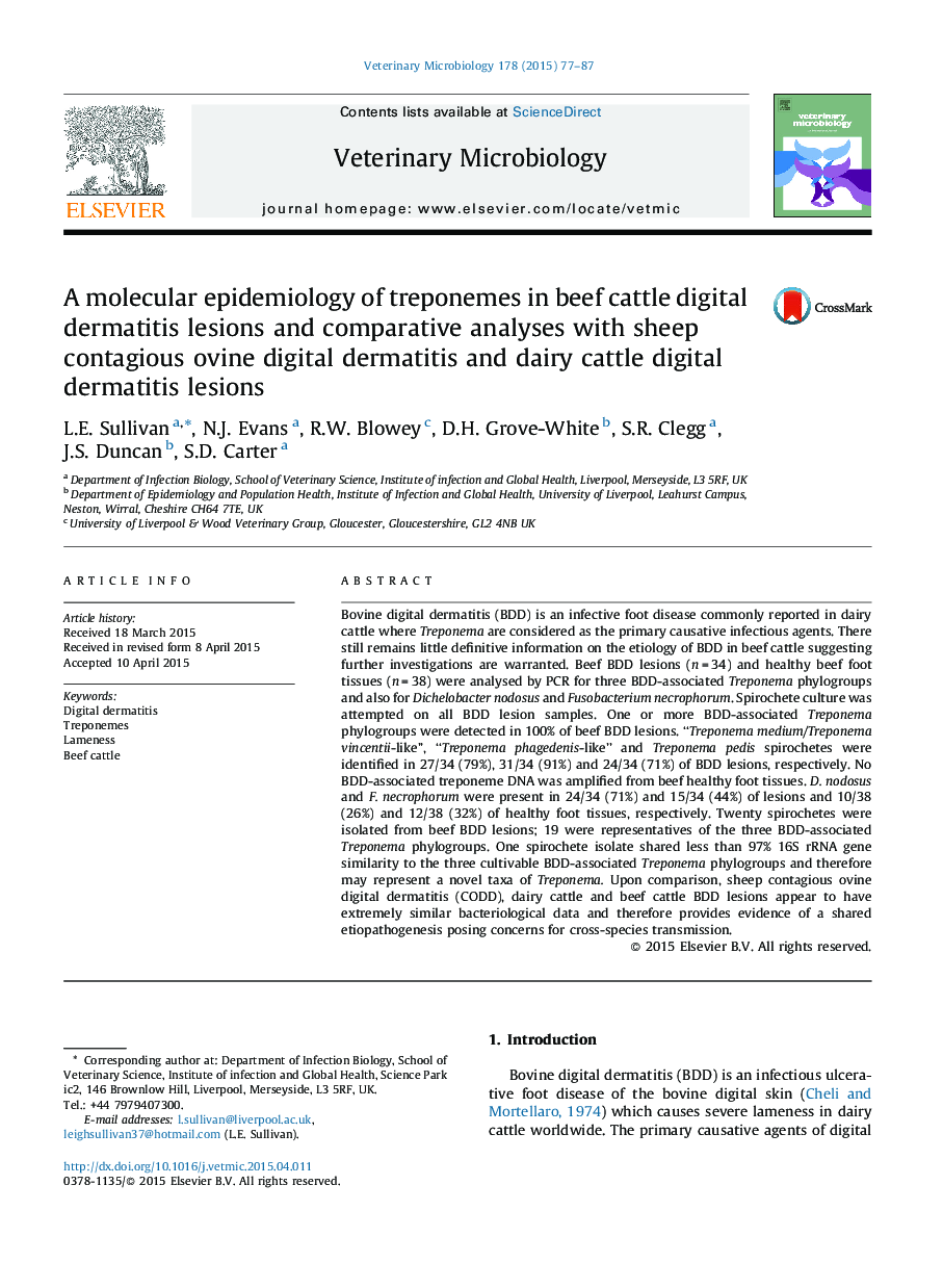 A molecular epidemiology of treponemes in beef cattle digital dermatitis lesions and comparative analyses with sheep contagious ovine digital dermatitis and dairy cattle digital dermatitis lesions