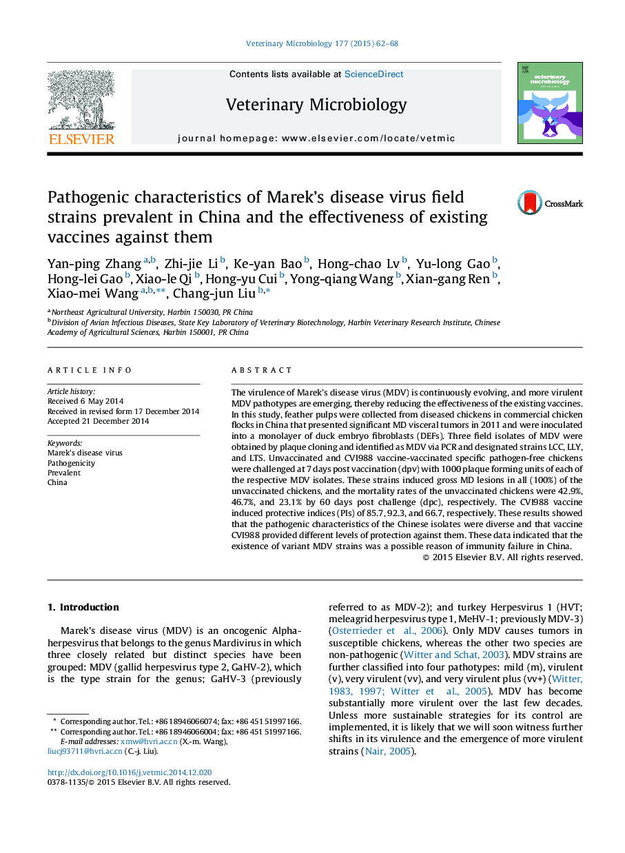 Pathogenic characteristics of Marek's disease virus field strains prevalent in China and the effectiveness of existing vaccines against them