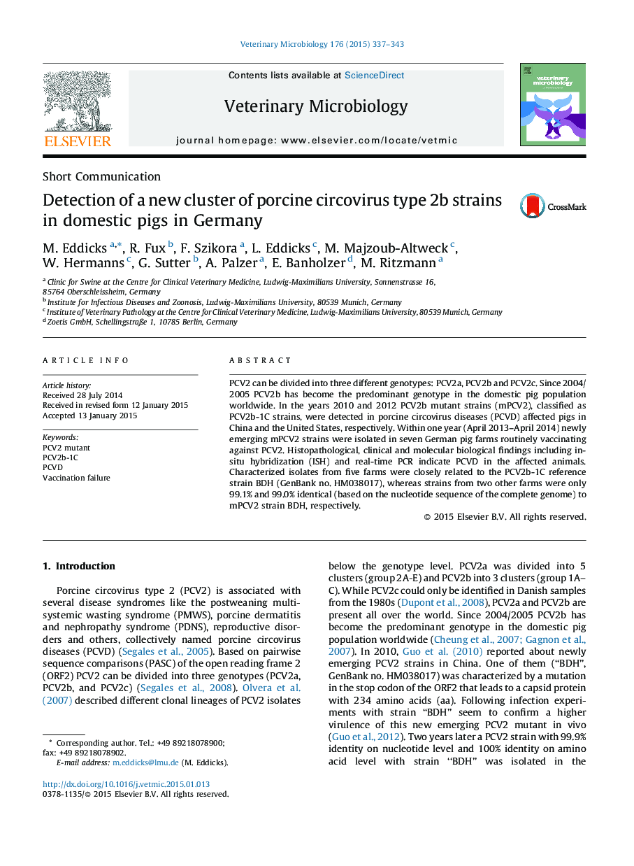 Detection of a new cluster of porcine circovirus type 2b strains in domestic pigs in Germany