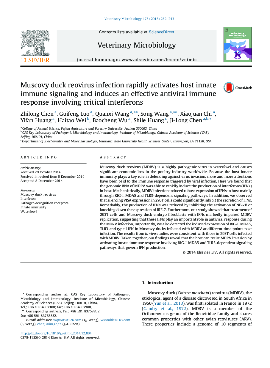 Muscovy duck reovirus infection rapidly activates host innate immune signaling and induces an effective antiviral immune response involving critical interferons