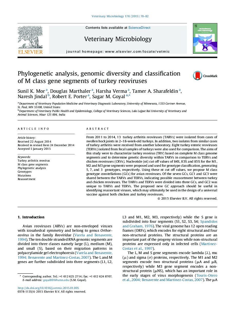 Phylogenetic analysis, genomic diversity and classification of M class gene segments of turkey reoviruses