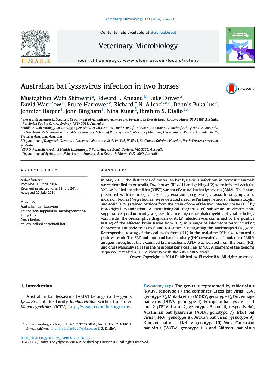 Australian bat lyssavirus infection in two horses