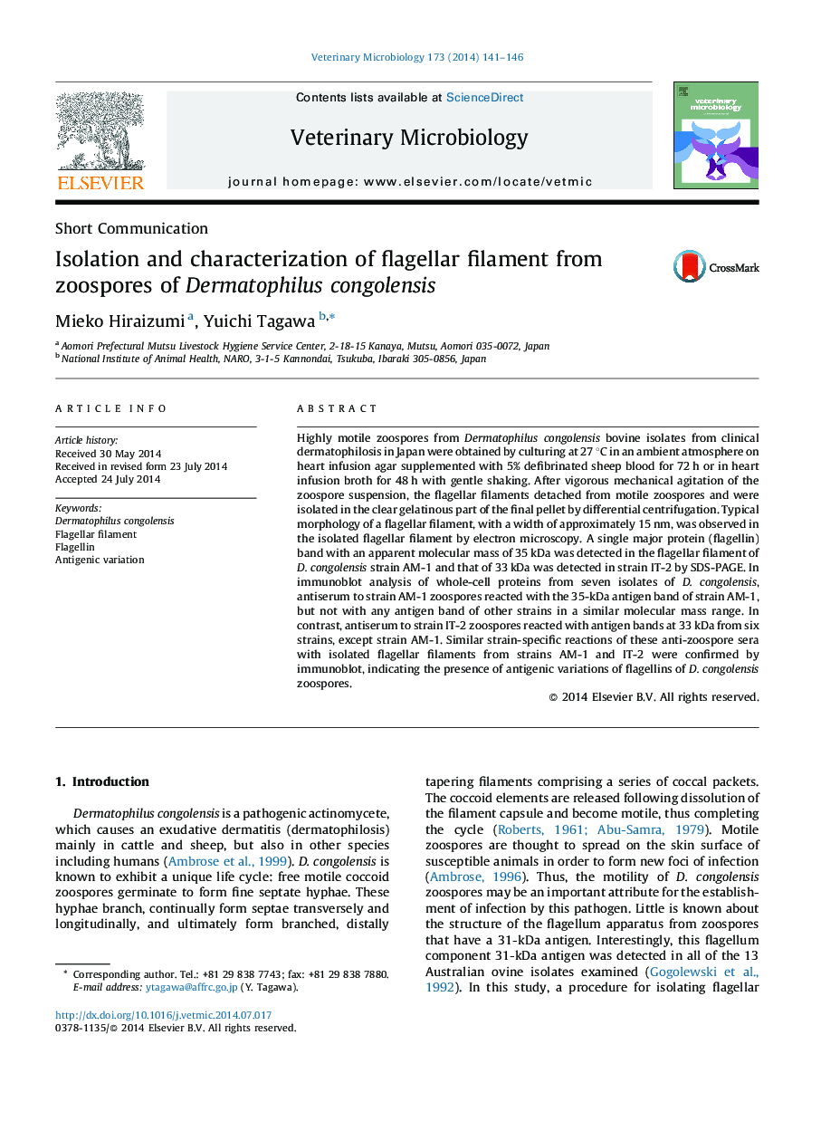 Isolation and characterization of flagellar filament from zoospores of Dermatophilus congolensis