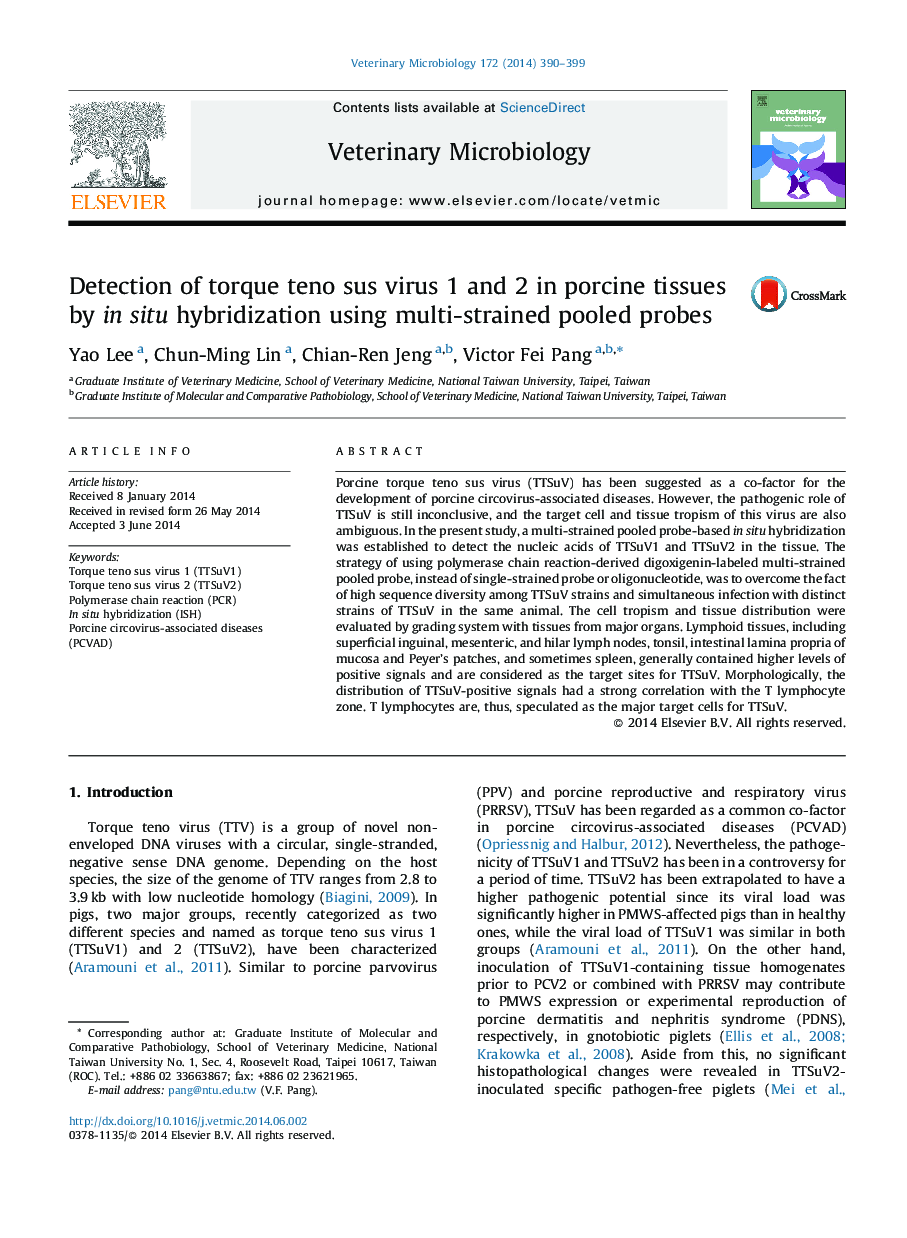 Detection of torque teno sus virus 1 and 2 in porcine tissues by in situ hybridization using multi-strained pooled probes