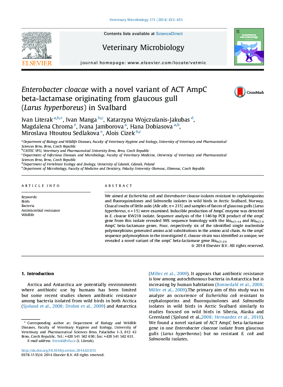 Enterobacter cloacae with a novel variant of ACT AmpC beta-lactamase originating from glaucous gull (Larus hyperboreus) in Svalbard