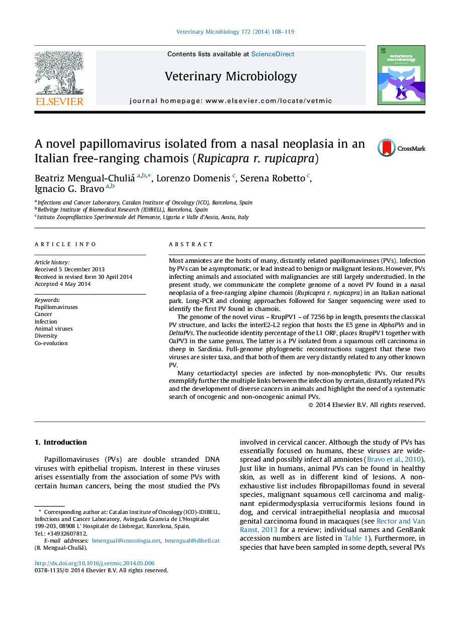 A novel papillomavirus isolated from a nasal neoplasia in an Italian free-ranging chamois (Rupicapra r. rupicapra)