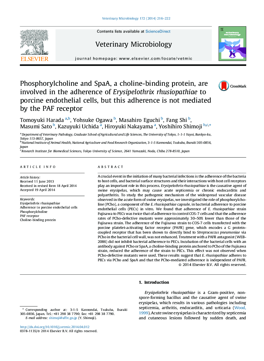 Phosphorylcholine and SpaA, a choline-binding protein, are involved in the adherence of Erysipelothrix rhusiopathiae to porcine endothelial cells, but this adherence is not mediated by the PAF receptor