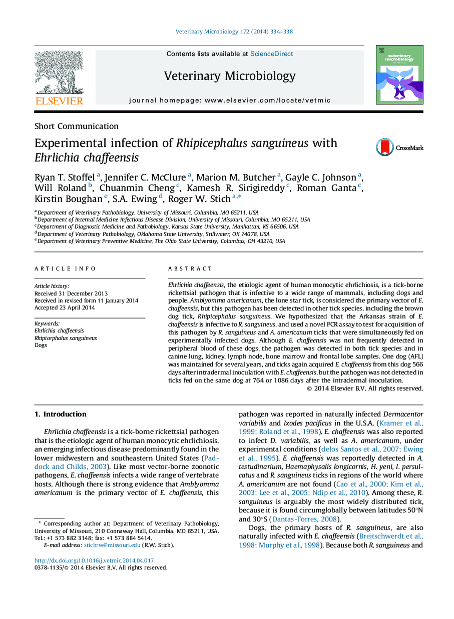 Experimental infection of Rhipicephalus sanguineus with Ehrlichia chaffeensis