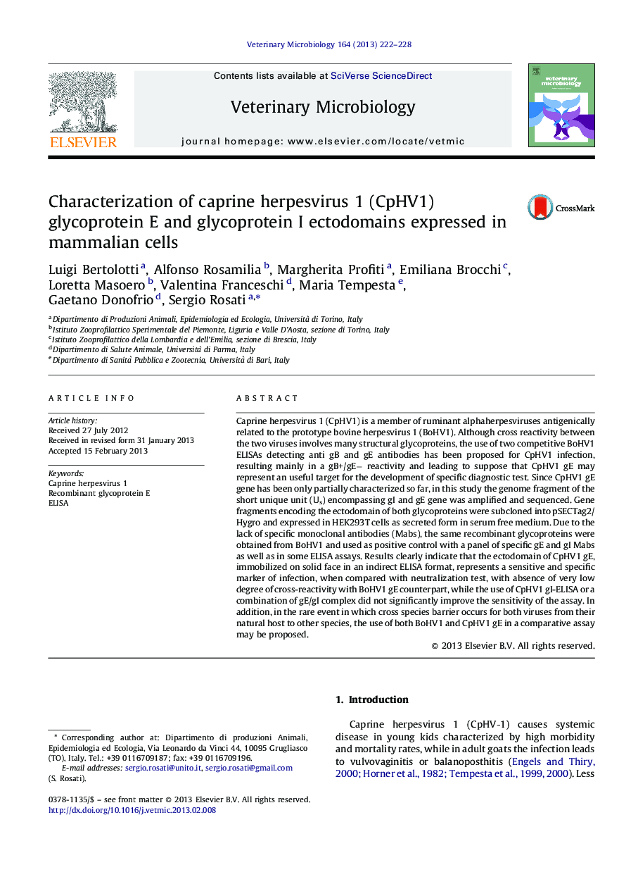 Characterization of caprine herpesvirus 1 (CpHV1) glycoprotein E and glycoprotein I ectodomains expressed in mammalian cells