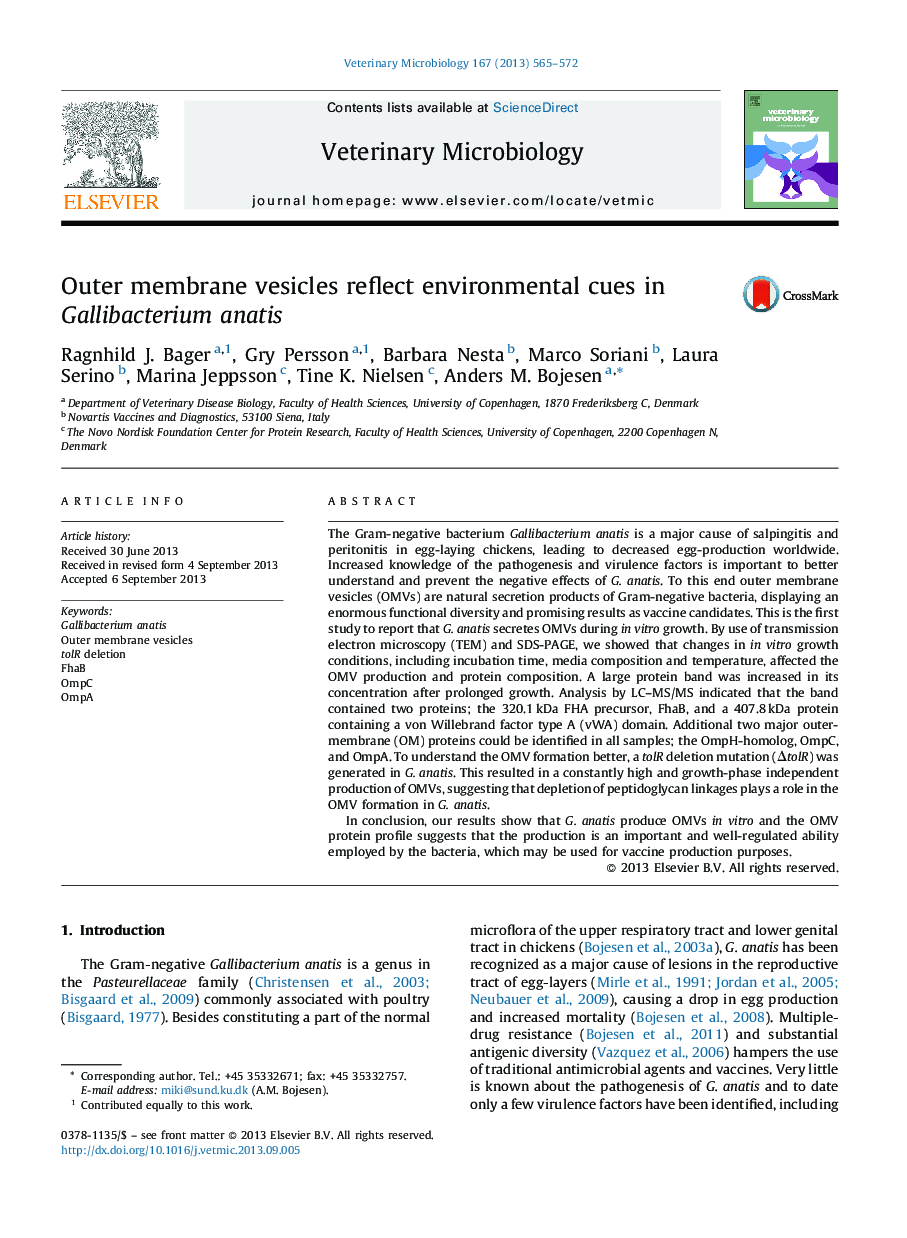 Outer membrane vesicles reflect environmental cues in Gallibacterium anatis