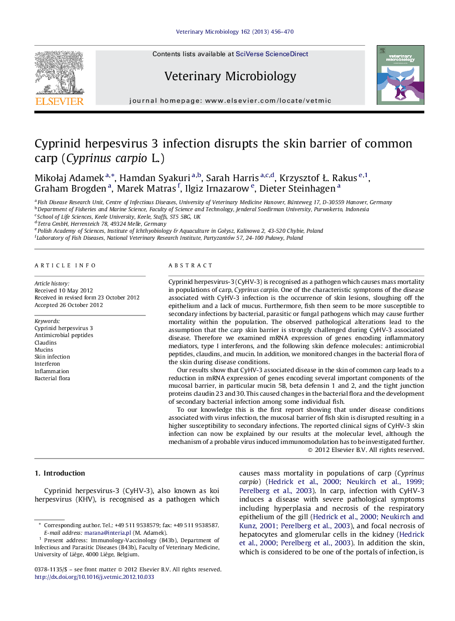 Cyprinid herpesvirus 3 infection disrupts the skin barrier of common carp (Cyprinus carpio L.)