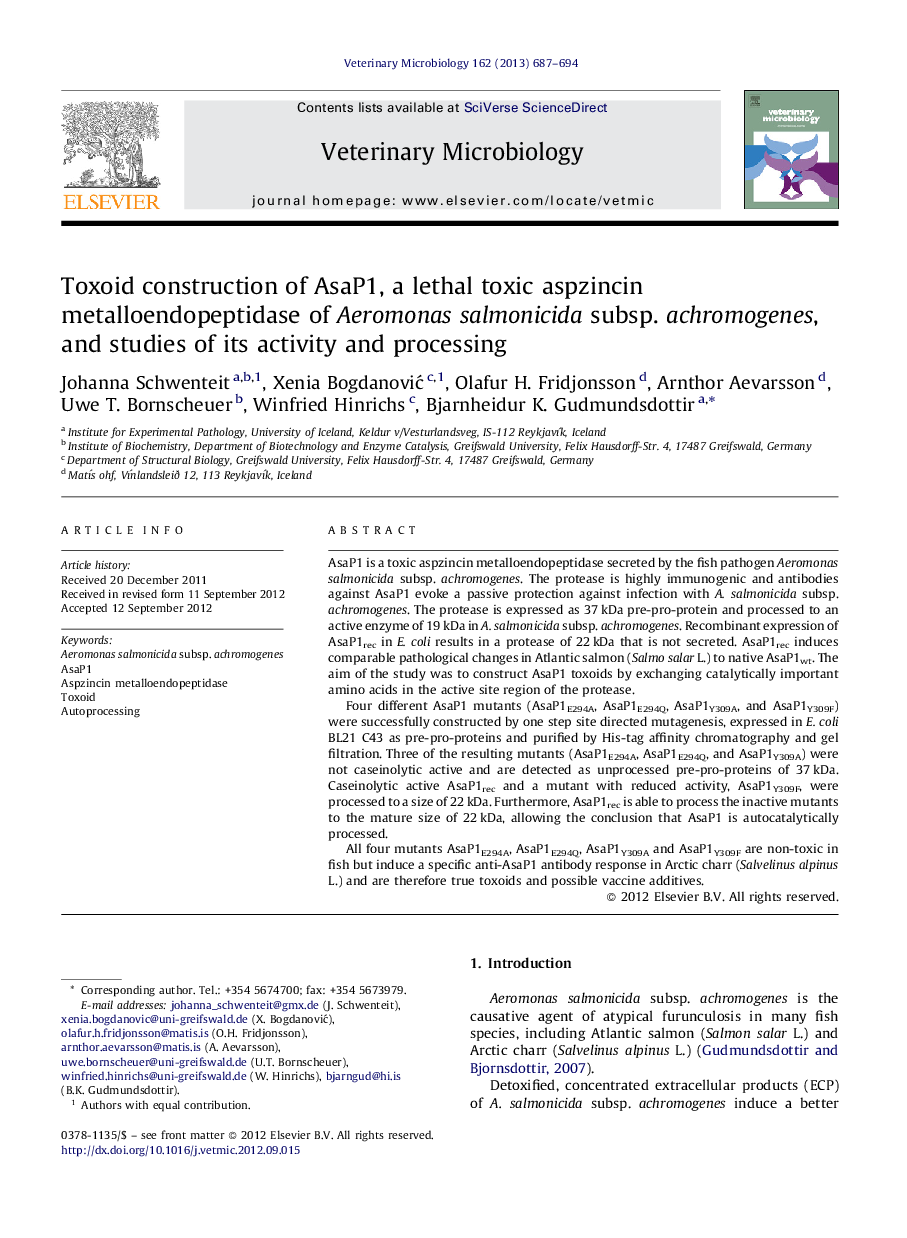 Toxoid construction of AsaP1, a lethal toxic aspzincin metalloendopeptidase of Aeromonas salmonicida subsp. achromogenes, and studies of its activity and processing