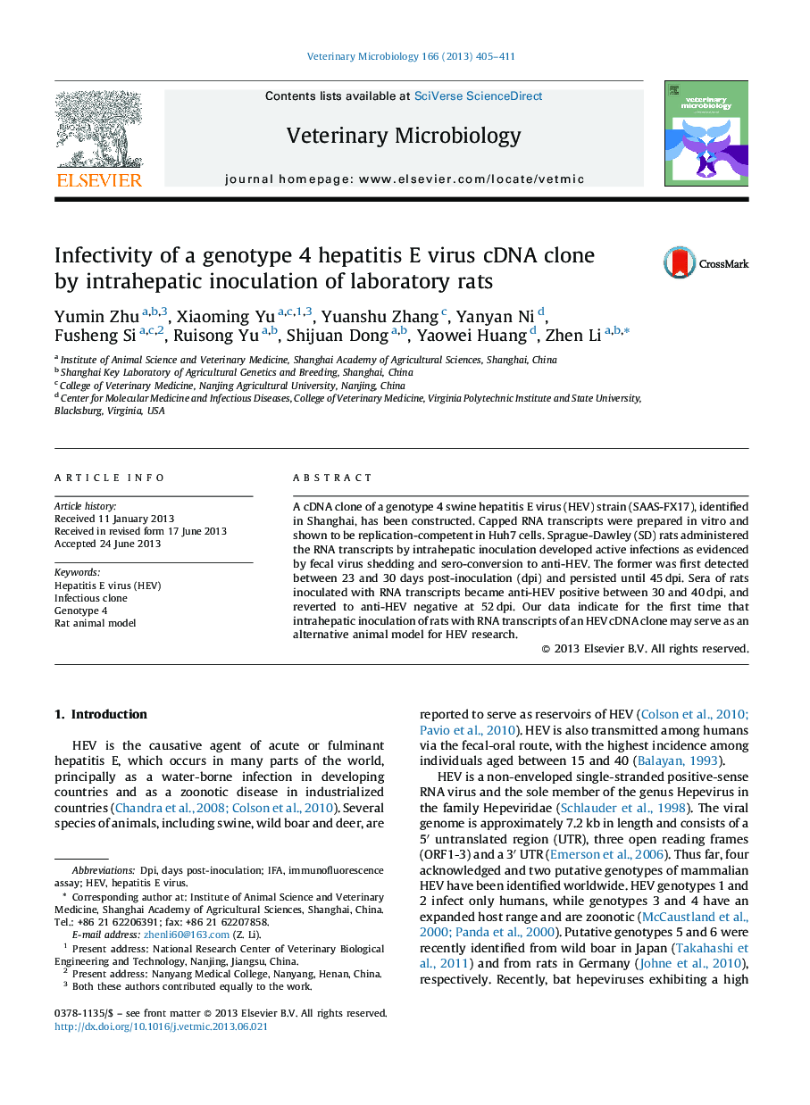 Infectivity of a genotype 4 hepatitis E virus cDNA clone by intrahepatic inoculation of laboratory rats