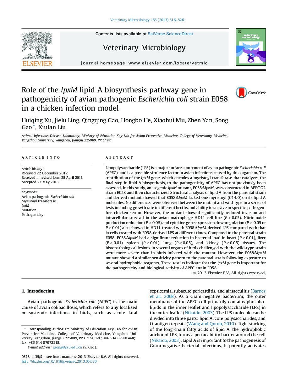 Role of the lpxM lipid A biosynthesis pathway gene in pathogenicity of avian pathogenic Escherichia coli strain E058 in a chicken infection model