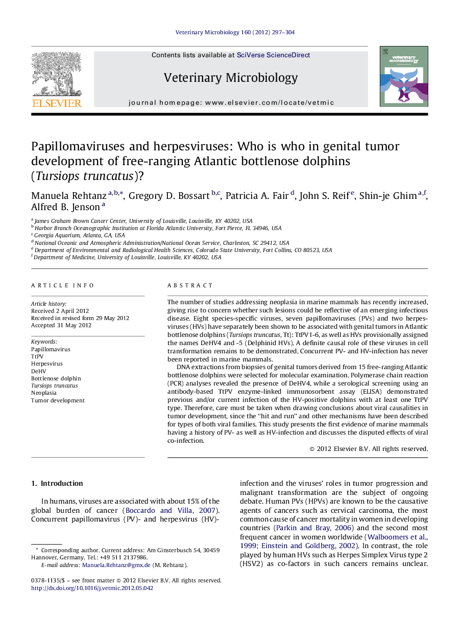 Papillomaviruses and herpesviruses: Who is who in genital tumor development of free-ranging Atlantic bottlenose dolphins (Tursiops truncatus)?