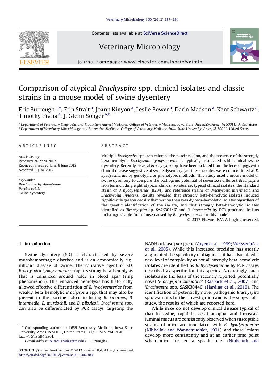 Comparison of atypical Brachyspira spp. clinical isolates and classic strains in a mouse model of swine dysentery