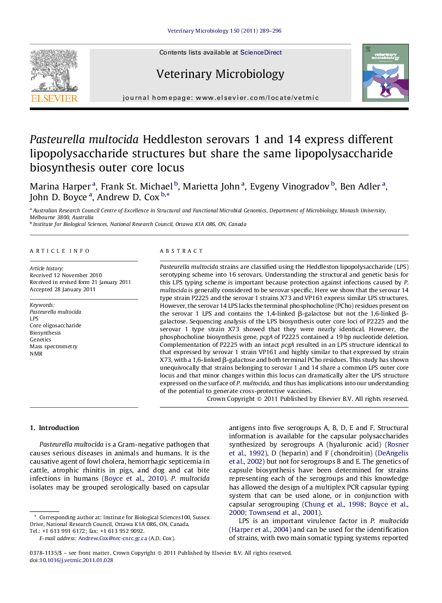 Pasteurella multocida Heddleston serovars 1 and 14 express different lipopolysaccharide structures but share the same lipopolysaccharide biosynthesis outer core locus