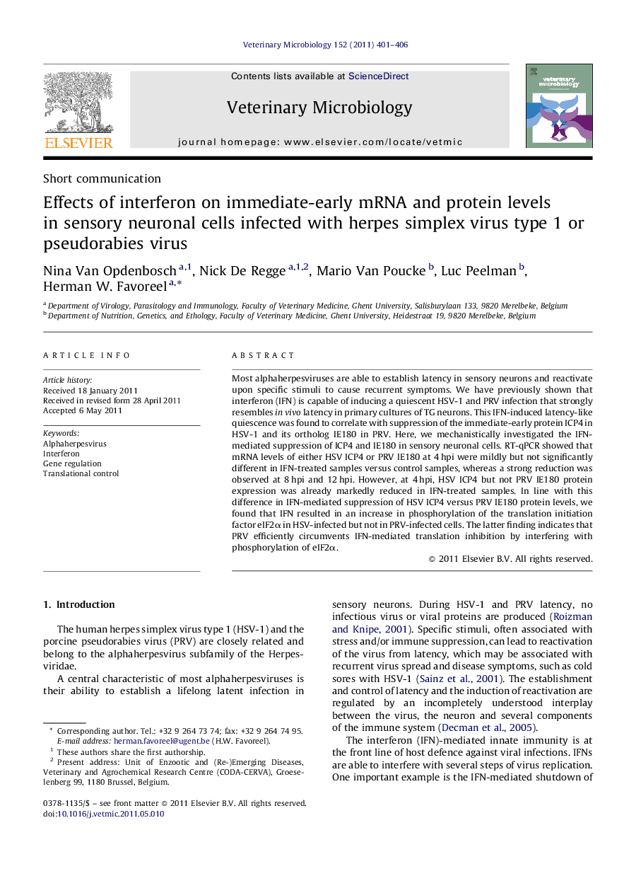 Effects of interferon on immediate-early mRNA and protein levels in sensory neuronal cells infected with herpes simplex virus type 1 or pseudorabies virus