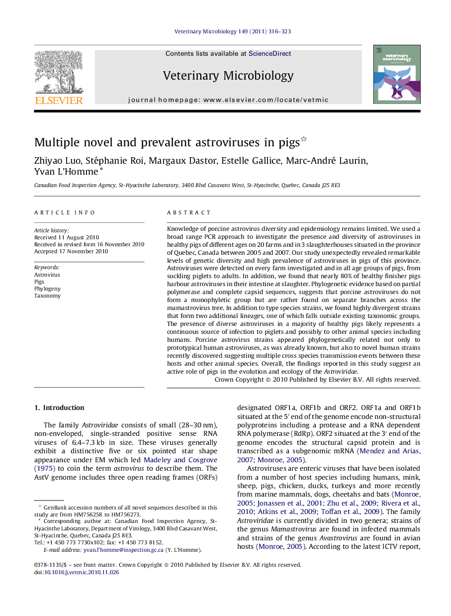 Multiple novel and prevalent astroviruses in pigs