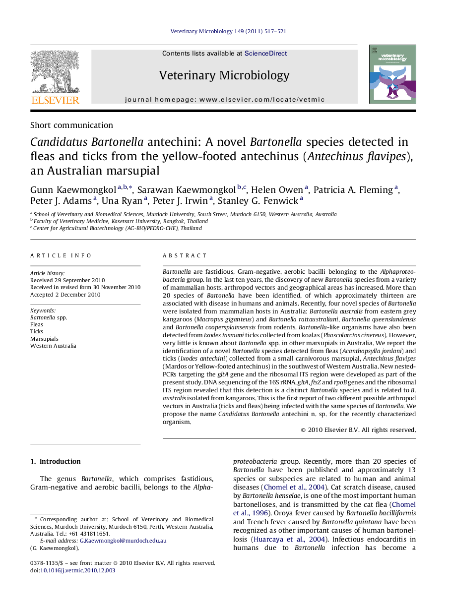 Candidatus Bartonella antechini: A novel Bartonella species detected in fleas and ticks from the yellow-footed antechinus (Antechinus flavipes), an Australian marsupial