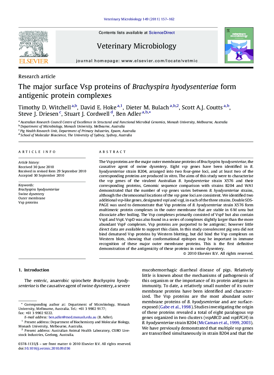 The major surface Vsp proteins of Brachyspira hyodysenteriae form antigenic protein complexes