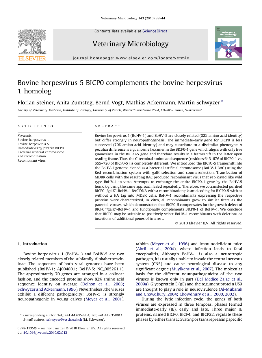 Bovine herpesvirus 5 BICP0 complements the bovine herpesvirus 1 homolog