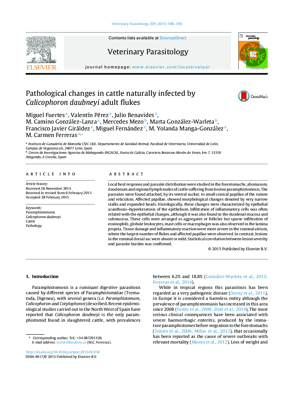 Pathological changes in cattle naturally infected by Calicophoron daubneyi adult flukes