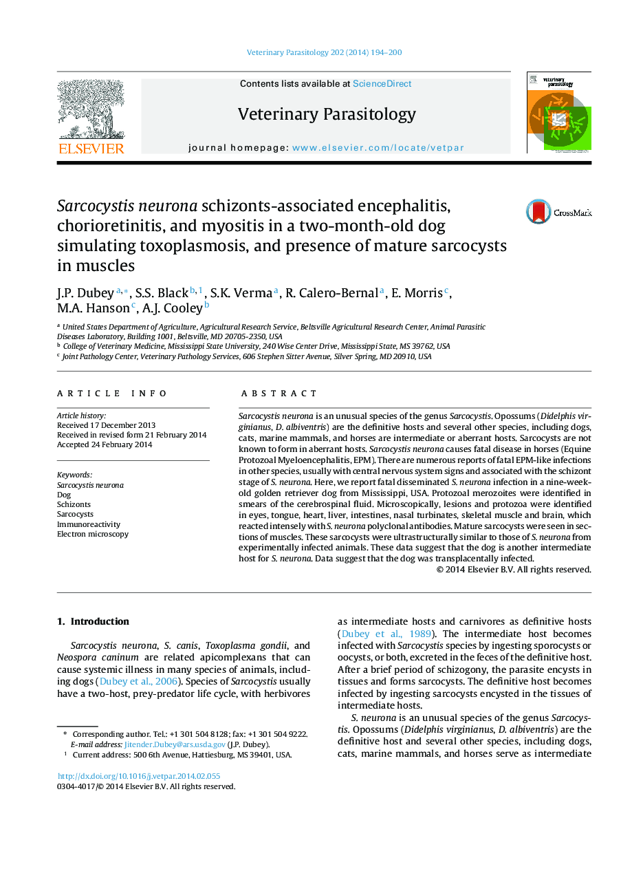 Sarcocystis neurona schizonts-associated encephalitis, chorioretinitis, and myositis in a two-month-old dog simulating toxoplasmosis, and presence of mature sarcocysts in muscles