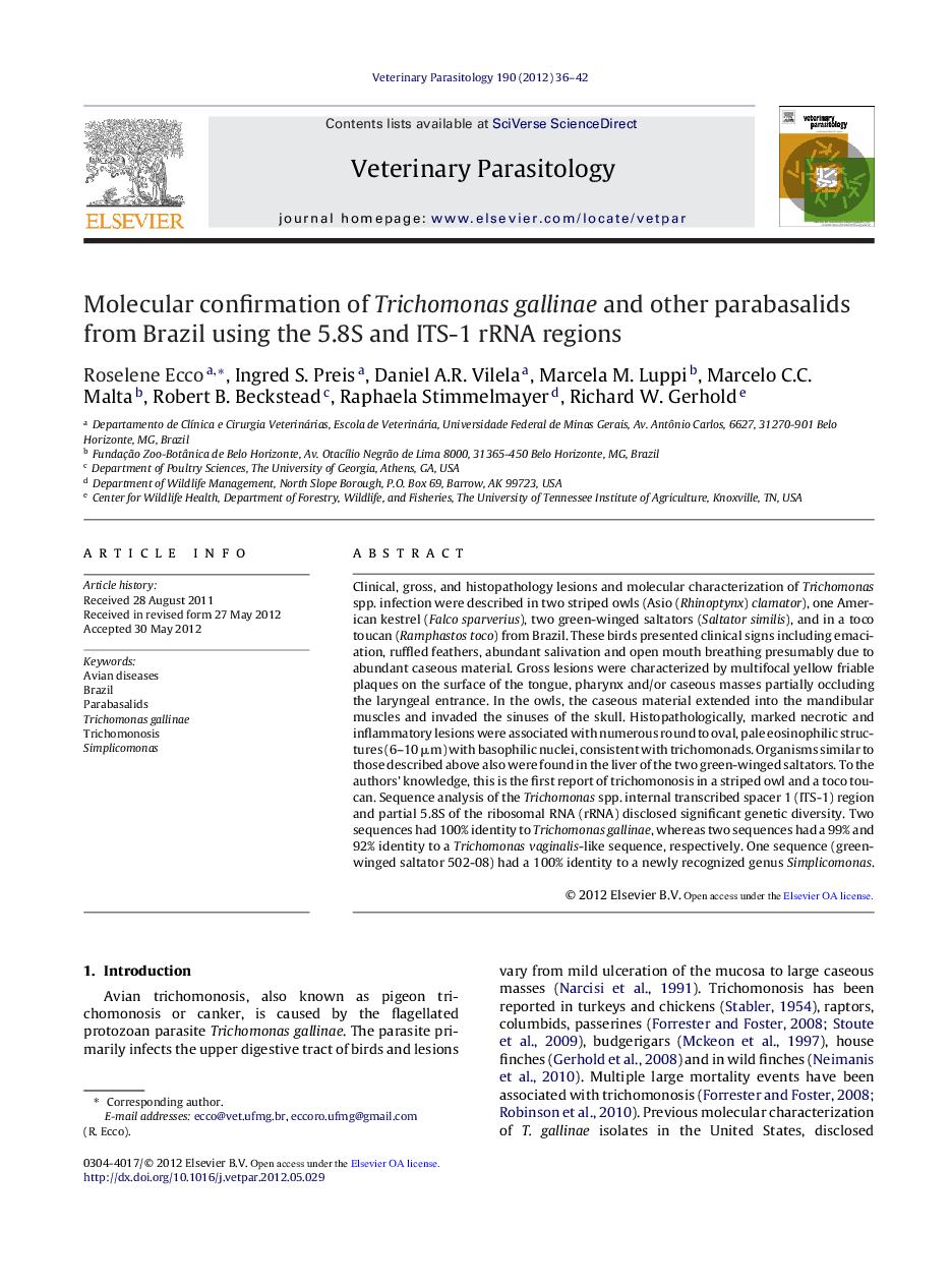 Molecular confirmation of Trichomonas gallinae and other parabasalids from Brazil using the 5.8S and ITS-1 rRNA regions