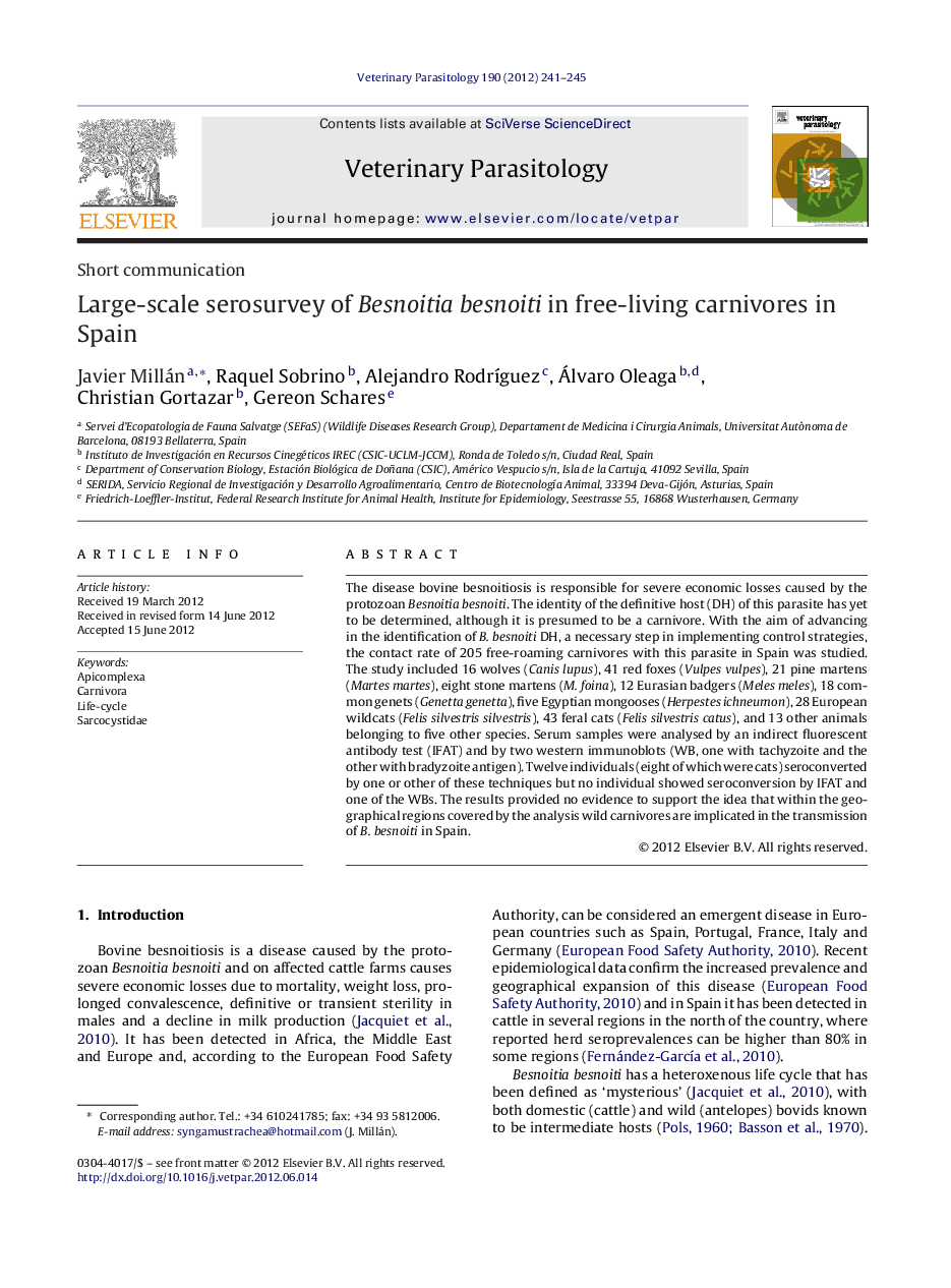 Large-scale serosurvey of Besnoitia besnoiti in free-living carnivores in Spain