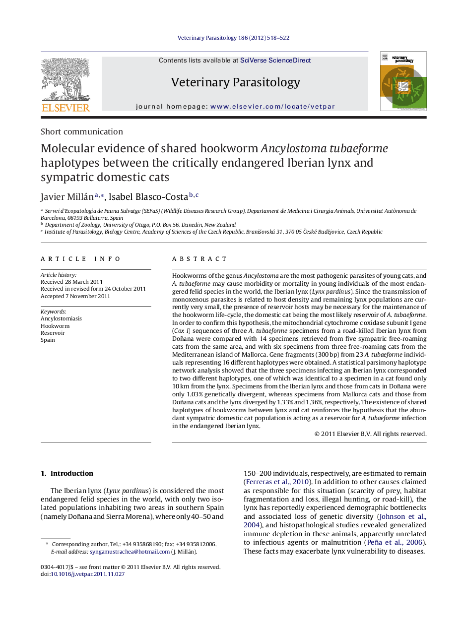 Molecular evidence of shared hookworm Ancylostoma tubaeforme haplotypes between the critically endangered Iberian lynx and sympatric domestic cats