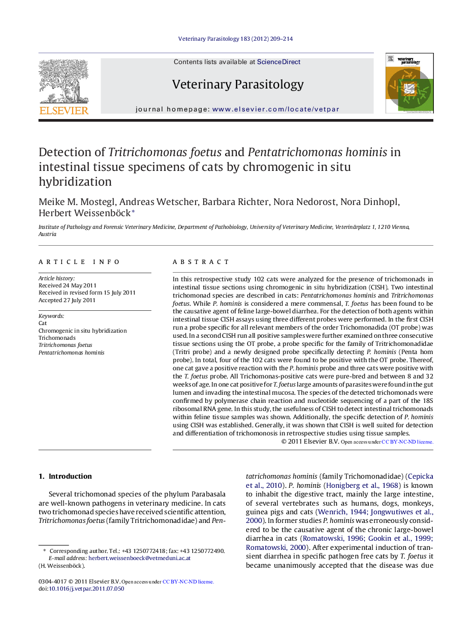 Detection of Tritrichomonas foetus and Pentatrichomonas hominis in intestinal tissue specimens of cats by chromogenic in situ hybridization