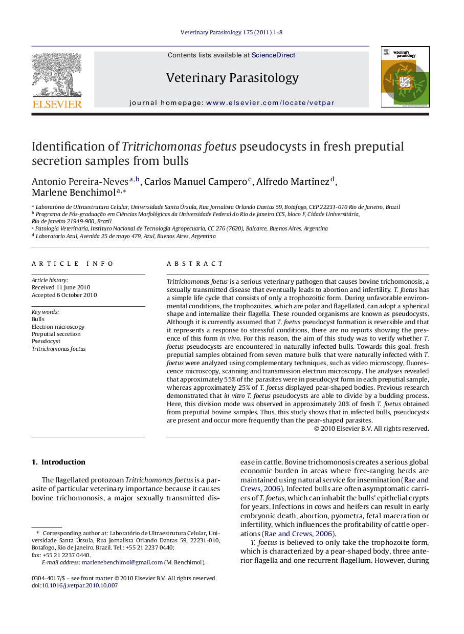 Identification of Tritrichomonas foetus pseudocysts in fresh preputial secretion samples from bulls