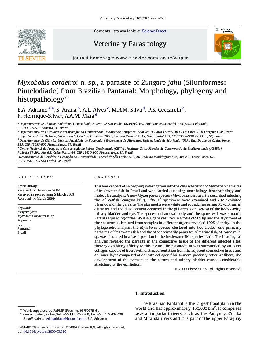 Myxobolus cordeiroi n. sp., a parasite of Zungaro jahu (Siluriformes: Pimelodiade) from Brazilian Pantanal: Morphology, phylogeny and histopathology