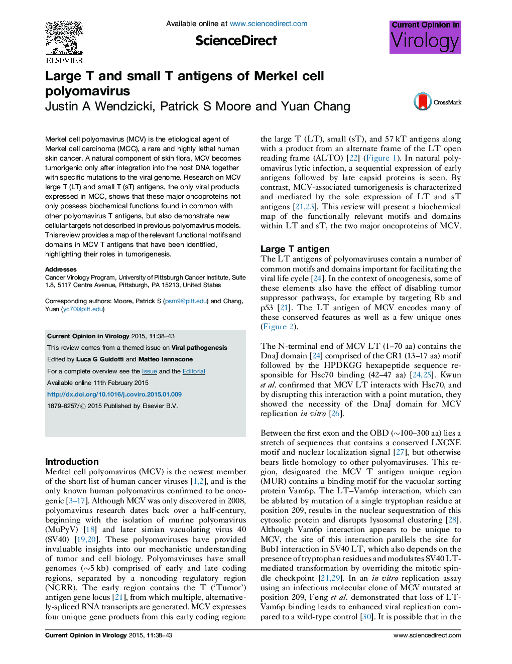 Large T and small T antigens of Merkel cell polyomavirus