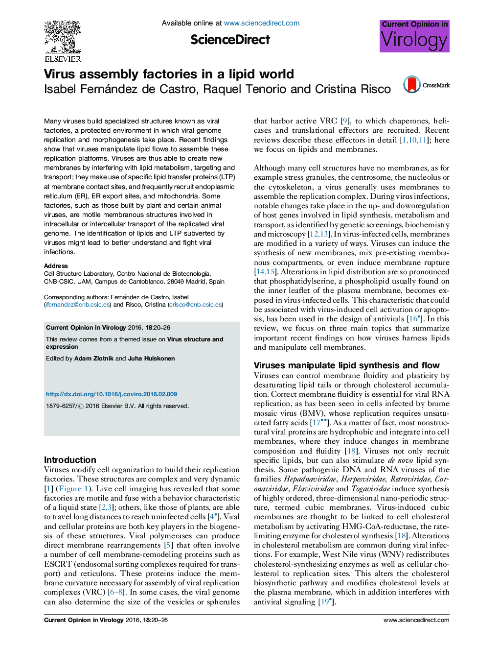 Virus assembly factories in a lipid world