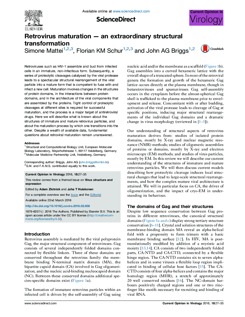 Retrovirus maturation - an extraordinary structural transformation