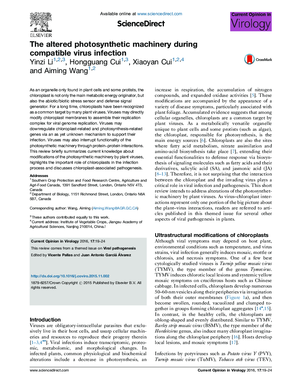 The altered photosynthetic machinery during compatible virus infection